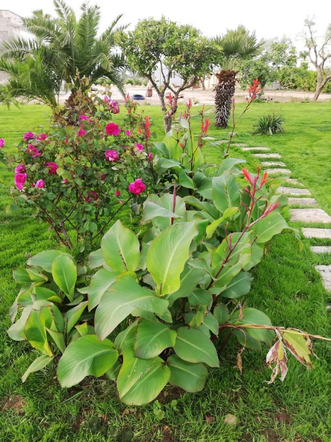 مبيت وإفطار Nardò Il Giardino Dei Tramonti المظهر الخارجي الصورة