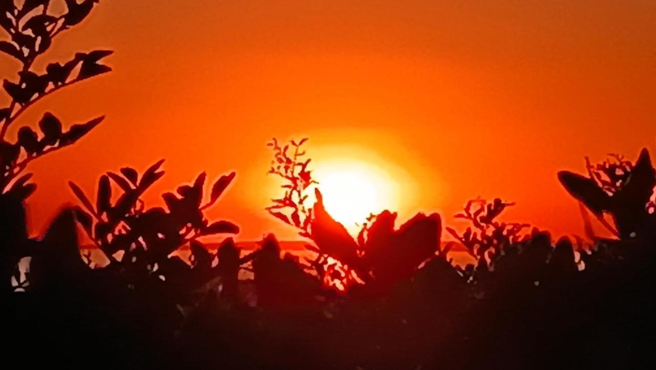 مبيت وإفطار Nardò Il Giardino Dei Tramonti المظهر الخارجي الصورة
